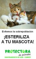 /album/fotogaleria/a7-jpg/