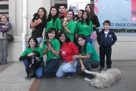 Grupo 