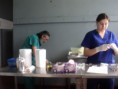 /album/jornadas-de-esterilizacion-en-curico-cada-dos-meses/dsc00156-jpg/