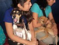 /album/jornadas-de-esterilizacion-en-curico-cada-dos-meses/dsc00213-jpg/