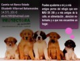 /album/actividades/a1069240-10200136575359592-1853310947-n-jpg1/